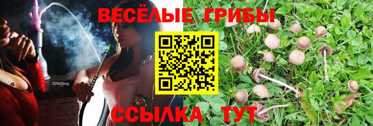 где можно купить наркотик  Галлюциногенные грибы ЛСД  Вход с VPN  Светлоград 