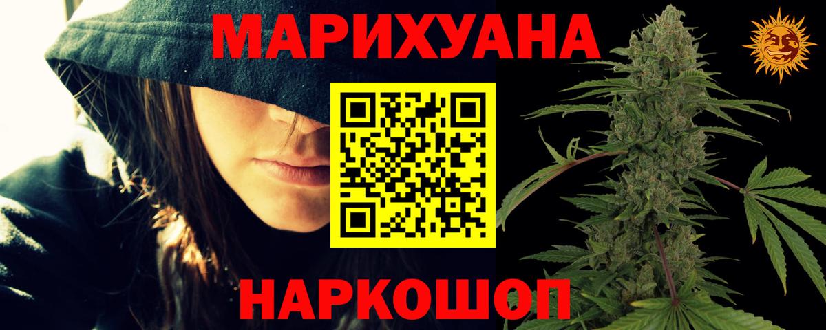 Канабис сатива Светлоград